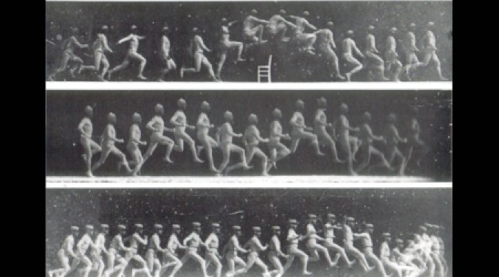 b190b9bcae39ee6b68c160e3e6f45456_XL