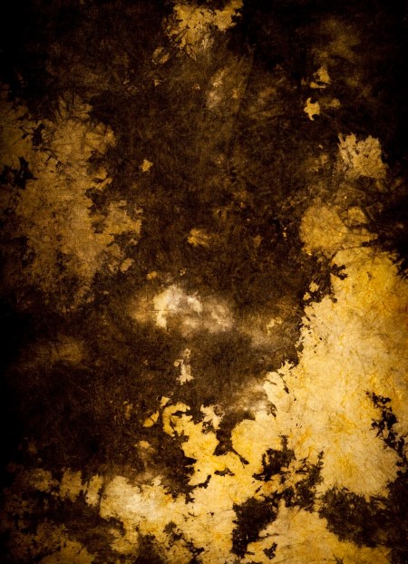 Fotografía Nicolás Cabrera