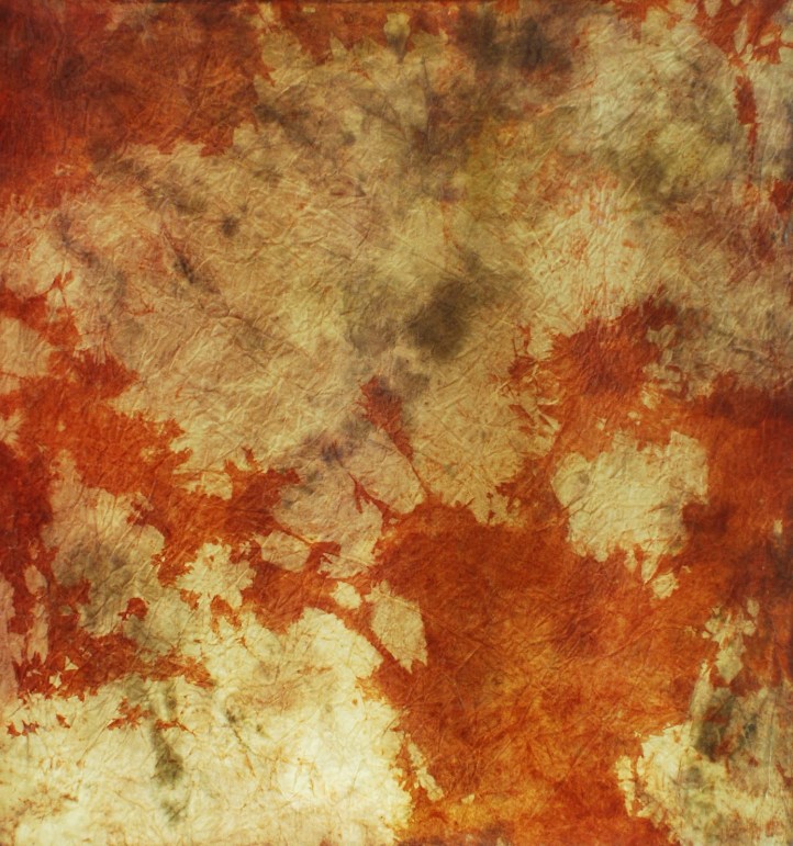 Fotografía de Nicolás Cabrera