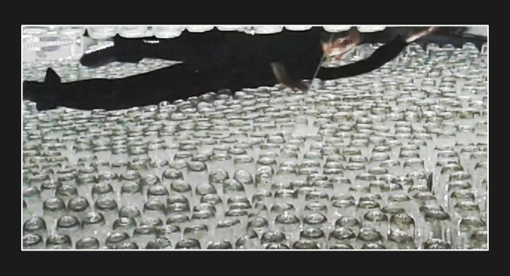 Línea de vida, performance