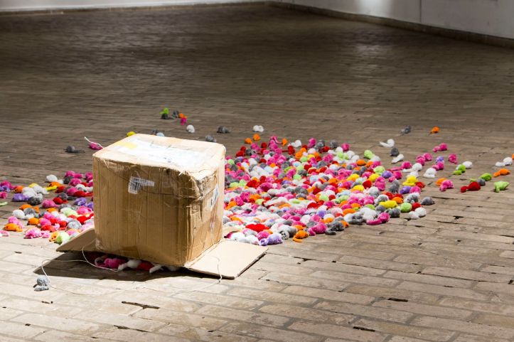 Foto cortesía del colectivo